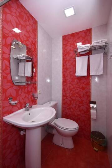 Фото номера Двухместный номер с 1 кроватью Гостевой дом Guest House Arsan г. Цахкадзор 5